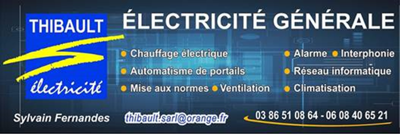 Logo Thibault Électricité